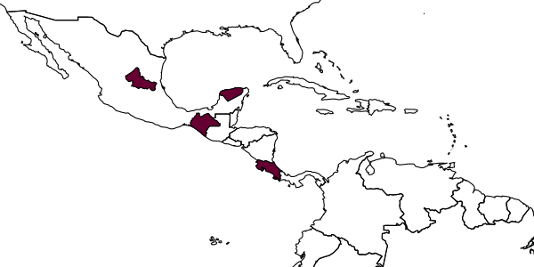 map of Rhaconotus rugosus     Marsh, 2002